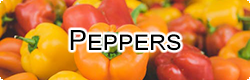 Peppers